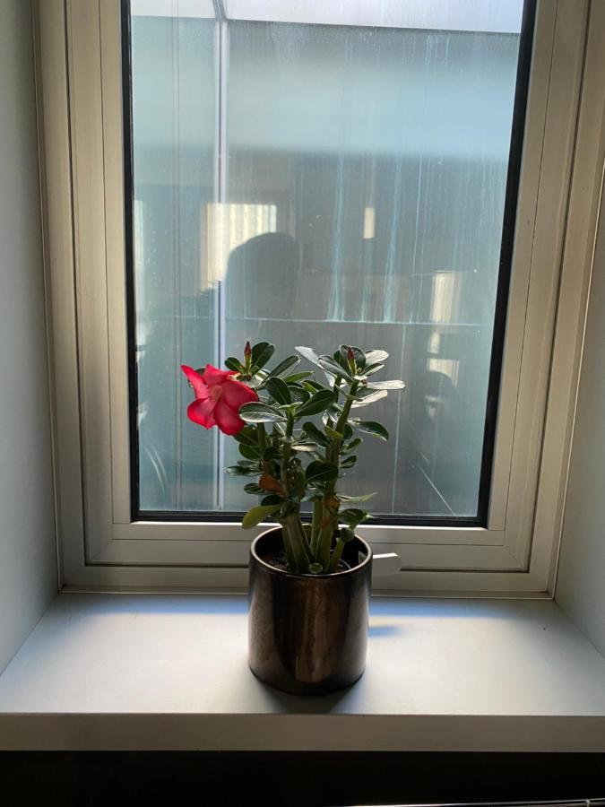 Host'In Aveiro Arrais Apartment ภายนอก รูปภาพ